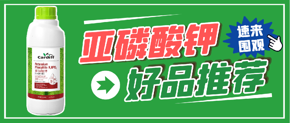 卡地夫亚磷酸钾：纳米科技重塑植物营养新标杆