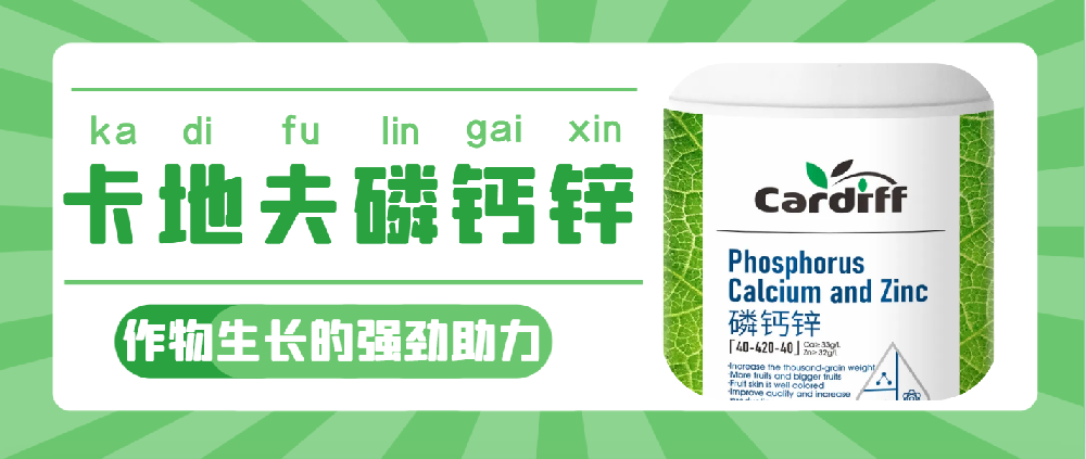 卡地夫磷钙锌（40-420-40）：作物生长的强劲助力