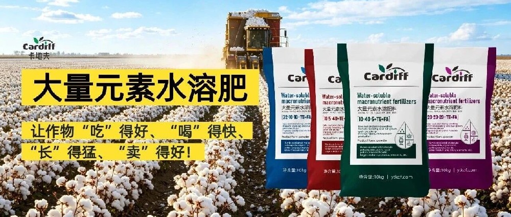 卡地夫大量元素水溶肥料：让作物“吃”得好、“喝”得快、“长”得猛、“卖”得好！